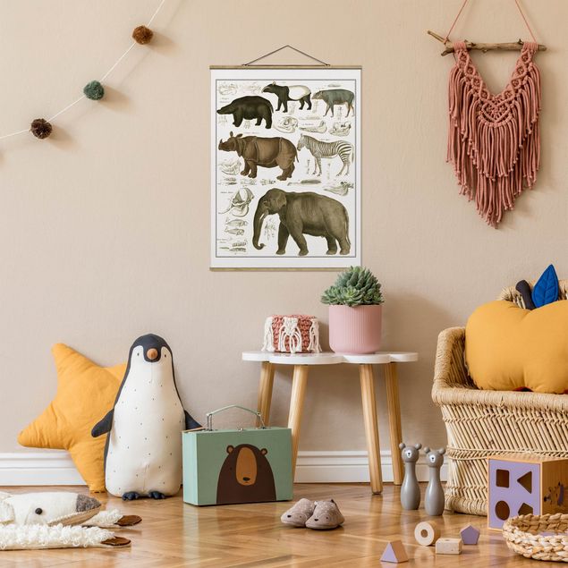 Quadri paesaggistici Bacheca Vintage Elefante, zebra e rinoceronte