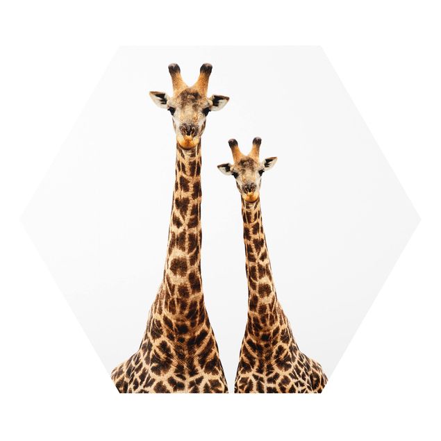 Stampe Portamento di due giraffe