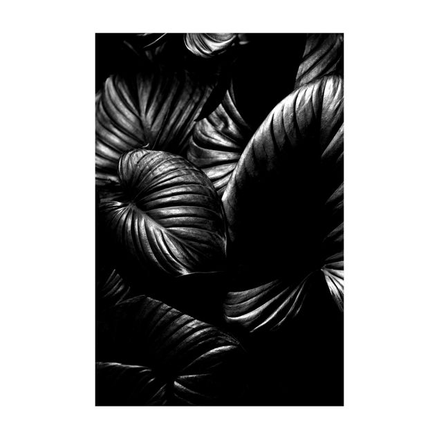 Tappeti con motivi naturali Hosta botanica in bianco e nero