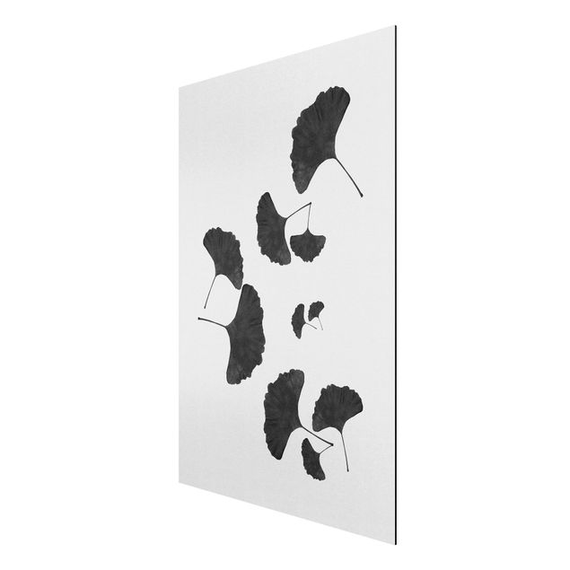 Riproduzioni quadri Composizione di ginkgo in bianco e nero