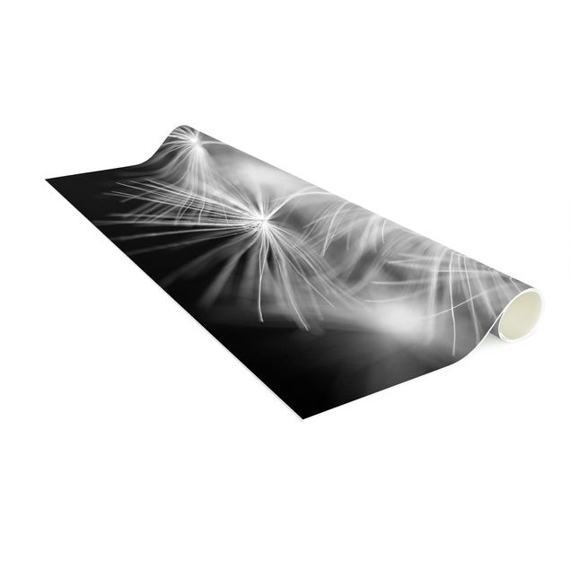 tappeto bianco e nero Primo piano di Soffione su sfondo nero