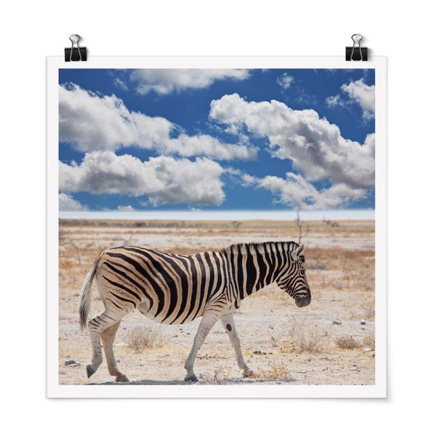 Quadri con zebre Zebra nella savana
