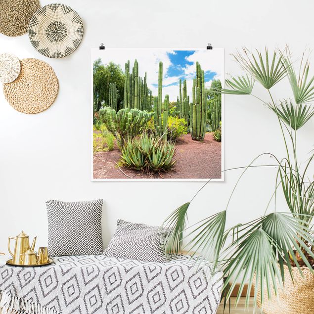 Quadri con paesaggio Paesaggio di cactus