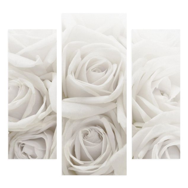 Quadri con fiori Rose bianche