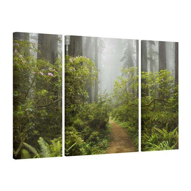 Quadro su tela componibile Sentiero della foresta nebbiosa