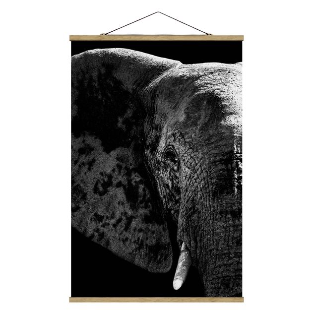 Quadri bianco e nero Elefante africano in bianco e nero