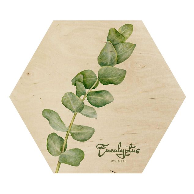 Esagono in legno - Acquerello Botanica Eucalyptus