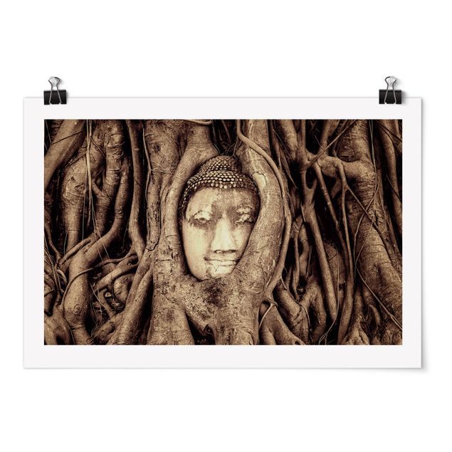 Poster retro Buddha ad Ayutthaya rivestito dalle radici degli alberi in marrone