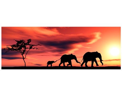 Pellicola per vetri Famiglia di elefanti della Savana