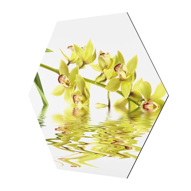 Quadro esagonale Eleganti acque di orchidea