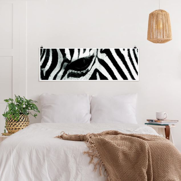 Quadri moderni   zebra