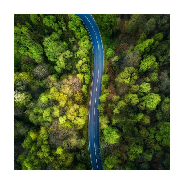 tappeto verde Vista aerea - Strada asfaltata nella foresta