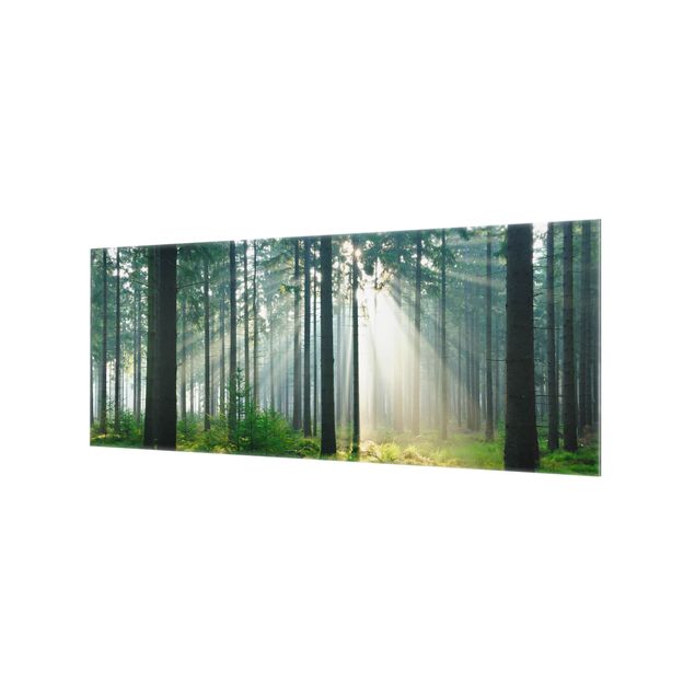 Paraschizzi in vetro - Enlightened Forest