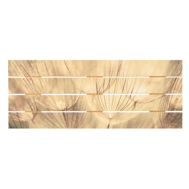 Stampa su legno - Dandelions close-up in tonalità seppia casalinga - Orizzontale 2:5
