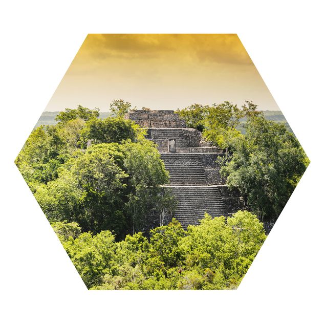 Quadri sulla natura Piramide di Calakmul