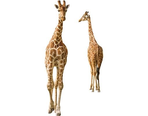 Adesivi per finestre con animali Due giraffe