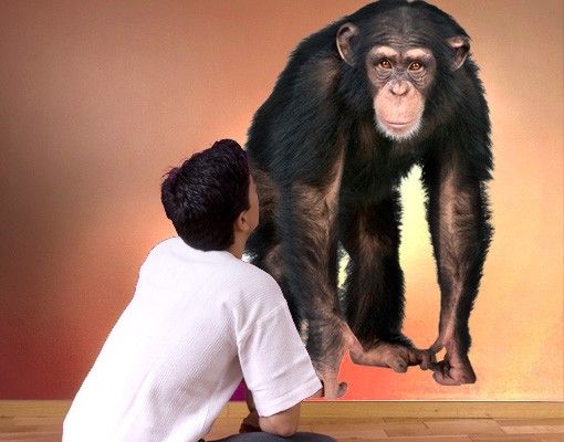 Autocolantes de parede macacos No.290 Scimmia attenta