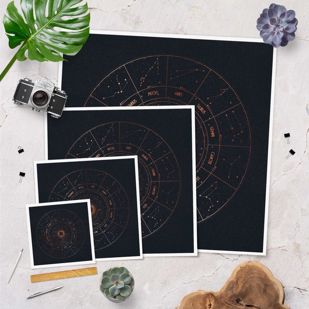 Poster - Astrologia i 12 segni dello zodiaco Blue Gold - Quadrato 1:1