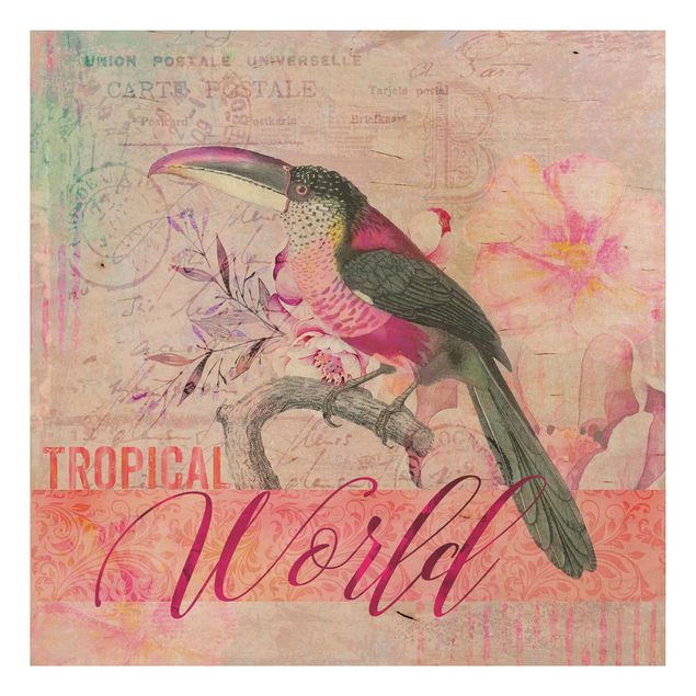 Quadri in legno con citazioni Collage vintage - Tucano del mondo tropicale