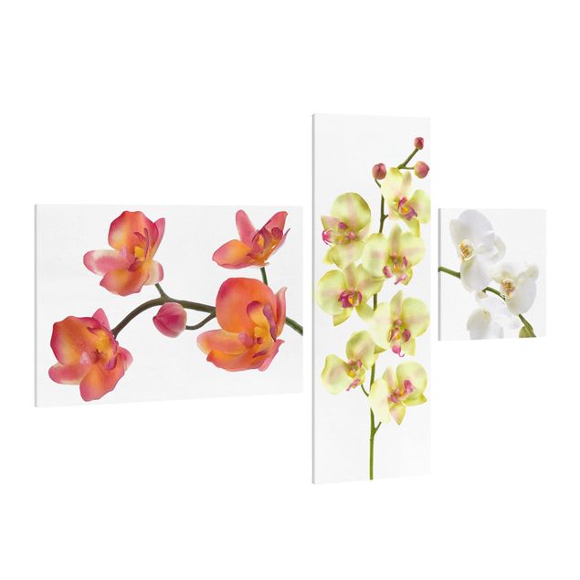 Stampa su tela 3 parti - orchid collage - Collage 2