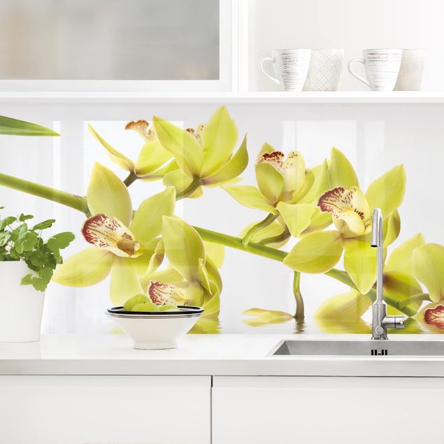 Rivestimenti per cucina con fiori Eleganti acque di orchidea