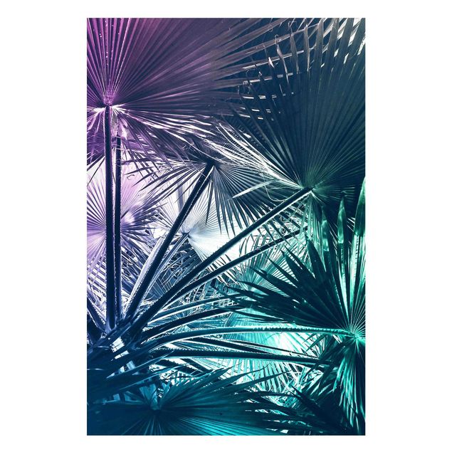 Lavagne magnetiche con fiori Piante tropicali Foglia di palma in turchese IIl
