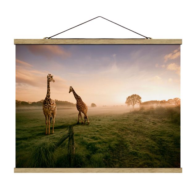 Quadri moderni   Giraffe surreali