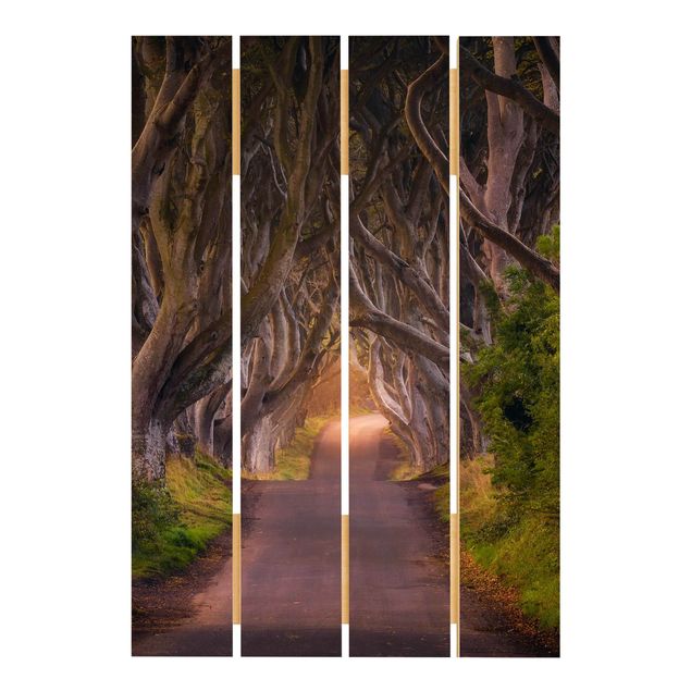 Stampa su legno - Tunnel dagli alberi - Verticale 3:2