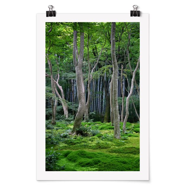Quadri natura Foresta giapponese