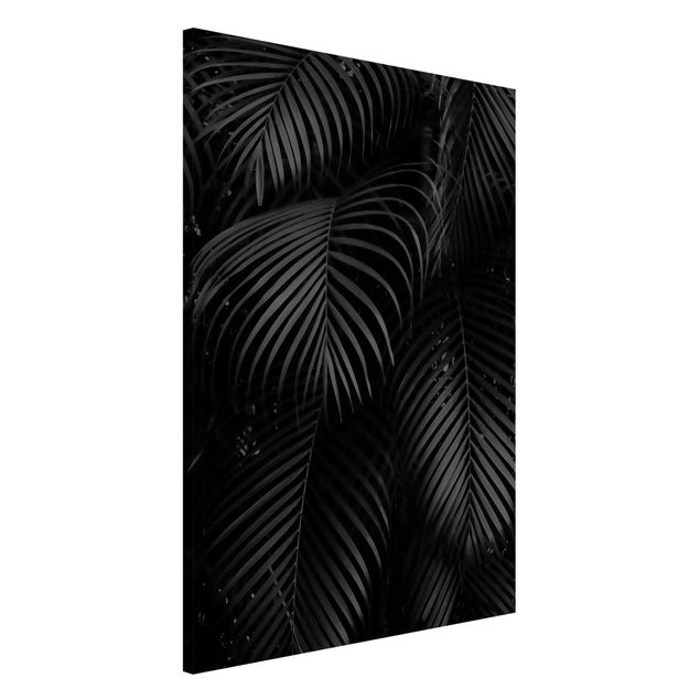 Lavagne magnetiche con fiori Fronde di palma nere