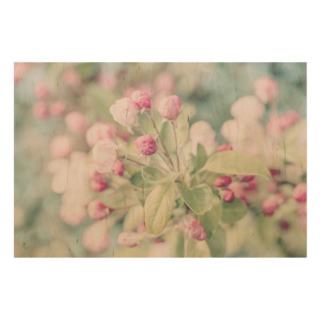 Quadri in legno con fiori Bokeh di fiori di melo rosa chiaro