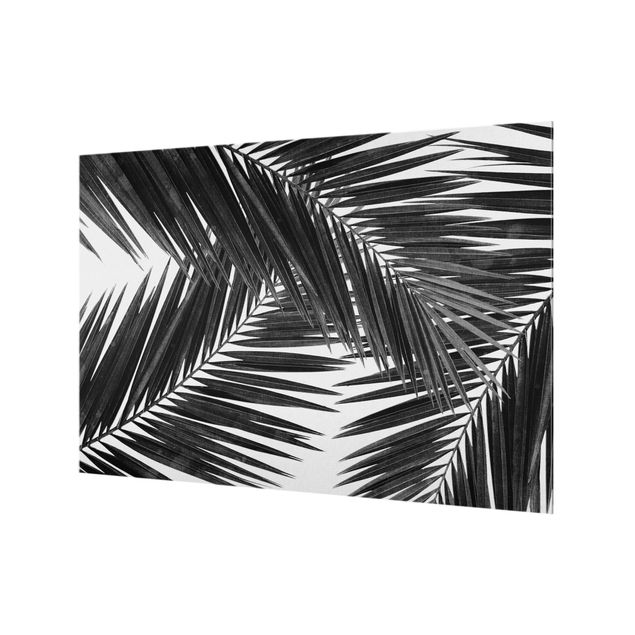 Paraspruzzi cucina Vista tra le foglie di palme in bianco e nero