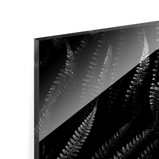 Paraschizzi in vetro - Botanica felce in bianco e nero - Quadrato 1:1