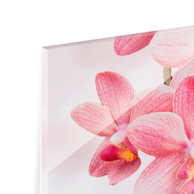 Paraschizzi in vetro - Pink Orchids On Water