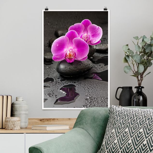 Quadro orchidea Fiore di orchidea rosa su pietra con gocce