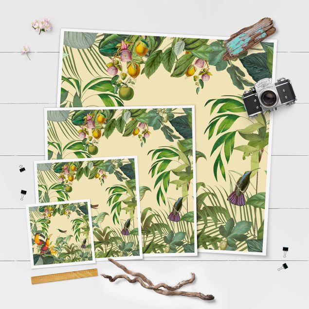 Stampe poster Collage vintage - Uccelli nella giungla