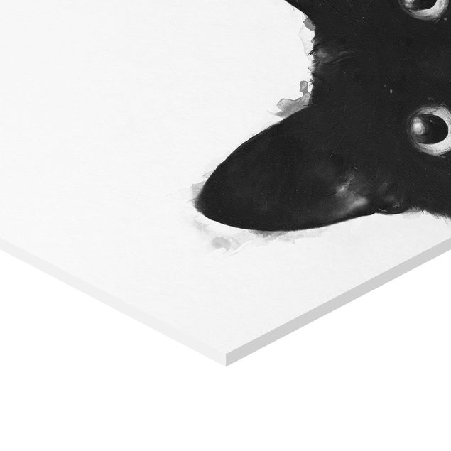 Quadri esagonali Illustrazione - Gatto nero su pittura bianca