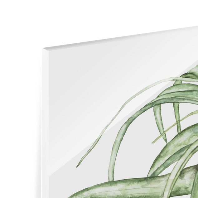 Paraschizzi in vetro - Air Plant Watercolor I