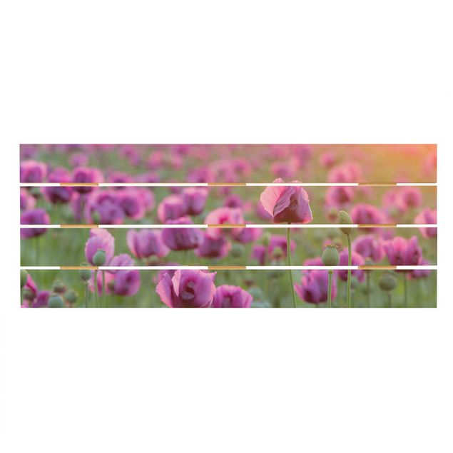 Stampe su legno Prato di papaveri viola in primavera