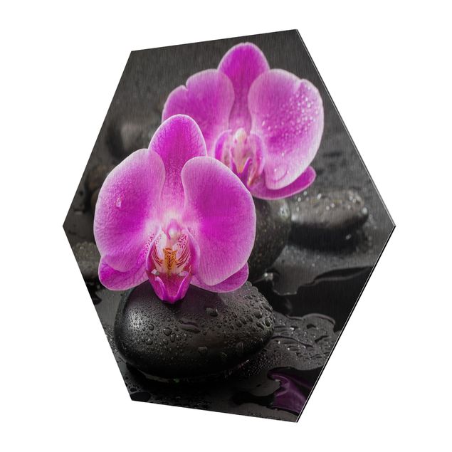 Quadri stampe Fiore di orchidea rosa su pietra con gocce