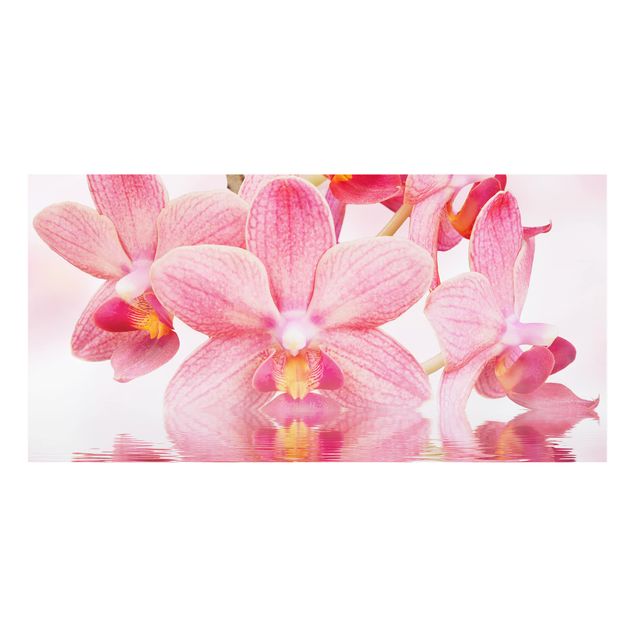 Paraschizzi in vetro - Pink Orchids On Water