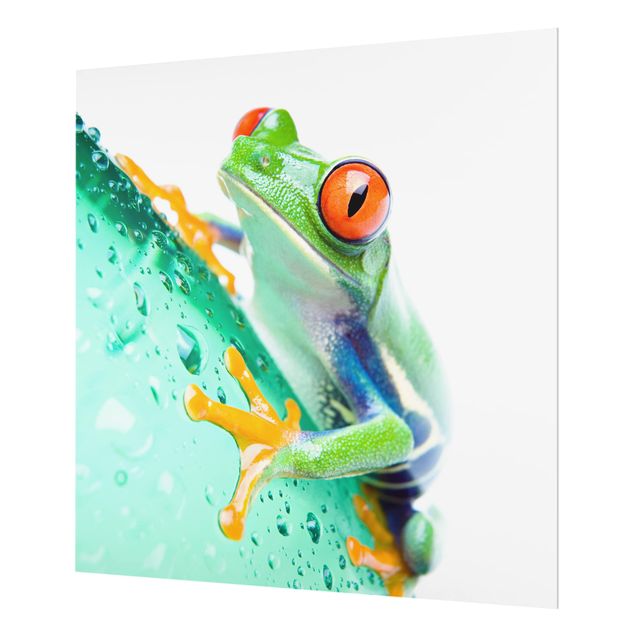 Paraschizzi in vetro - Frog