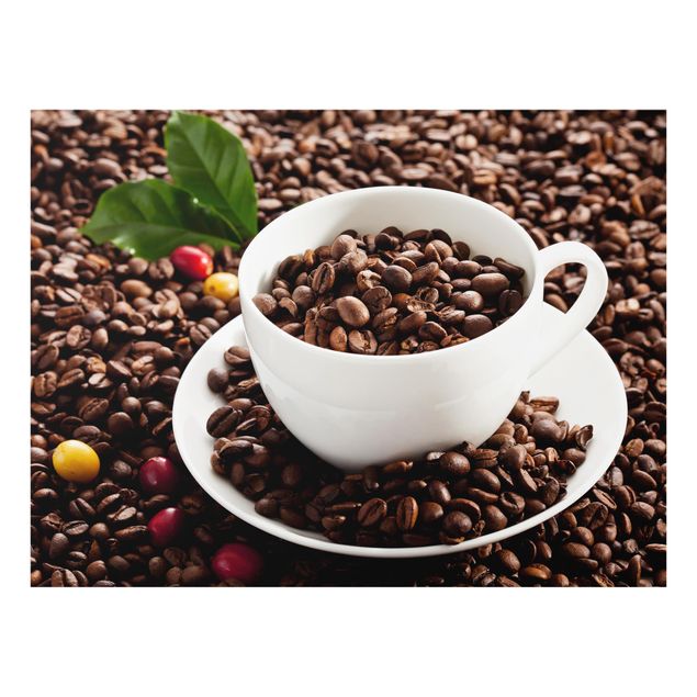 Paraschizzi in vetro - Coffee Cup With Roasted Coffee Beans