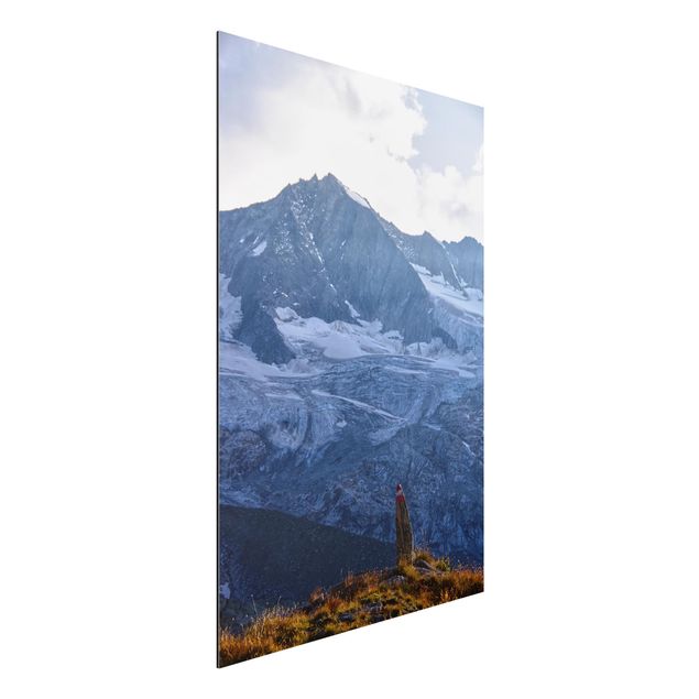 Quadri paesaggistici Sentiero segnato sulle Alpi