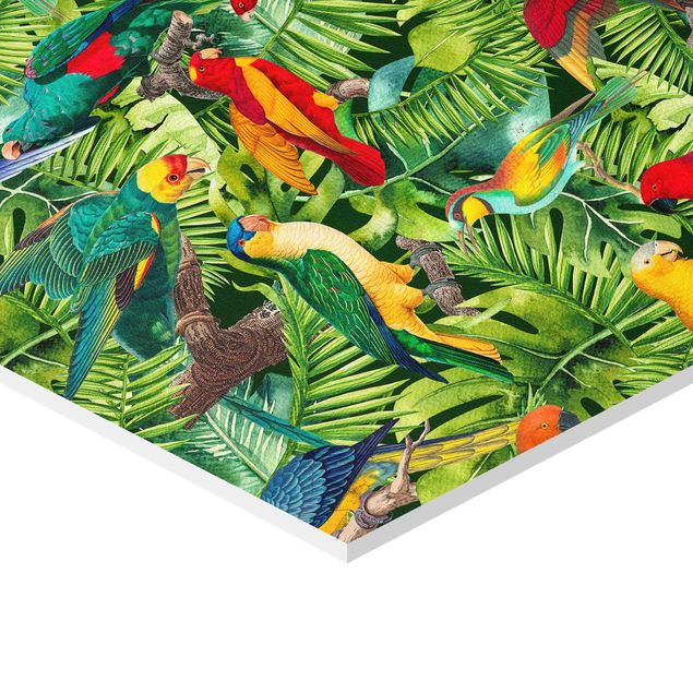Quadri forex Collage colorato - Pappagalli nella giungla