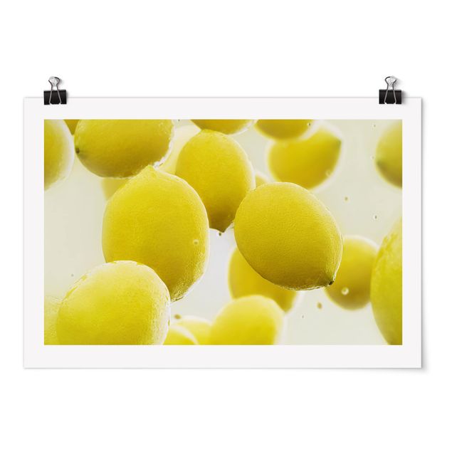 Stampe poster Limoni in acqua