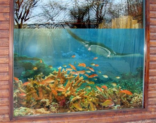 Adesivi per finestre con animali Coral Reef