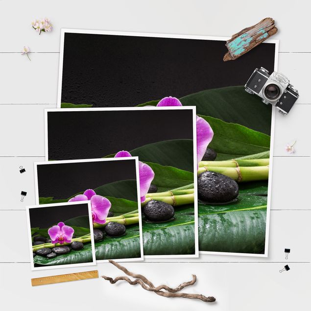 Quadri stampe Bambù verde con fiore di orchidea