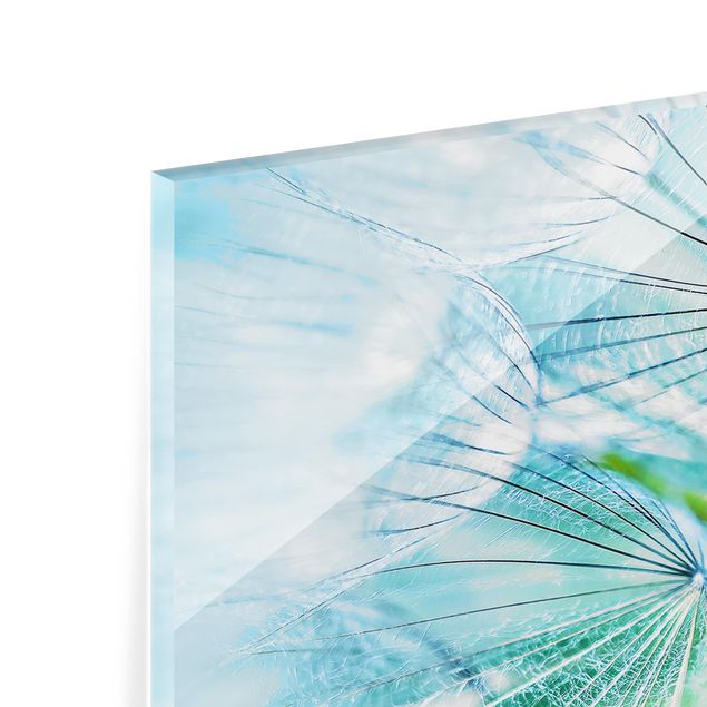 Paraschizzi in vetro - Abstract dandelion