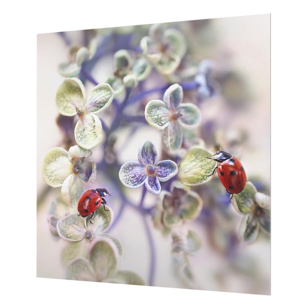 Paraschizzi in vetro - Ladybugs In The Garden